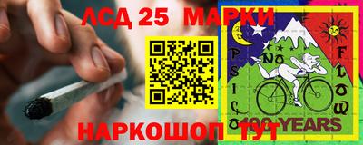 шишки Краснознаменск