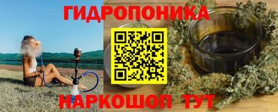 шишки Краснознаменск
